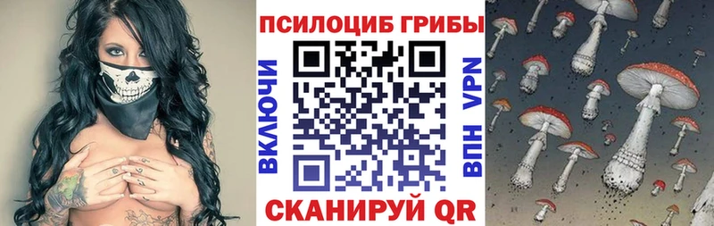 Псилоцибиновые грибы Psilocybe  Йошкар-Ола 